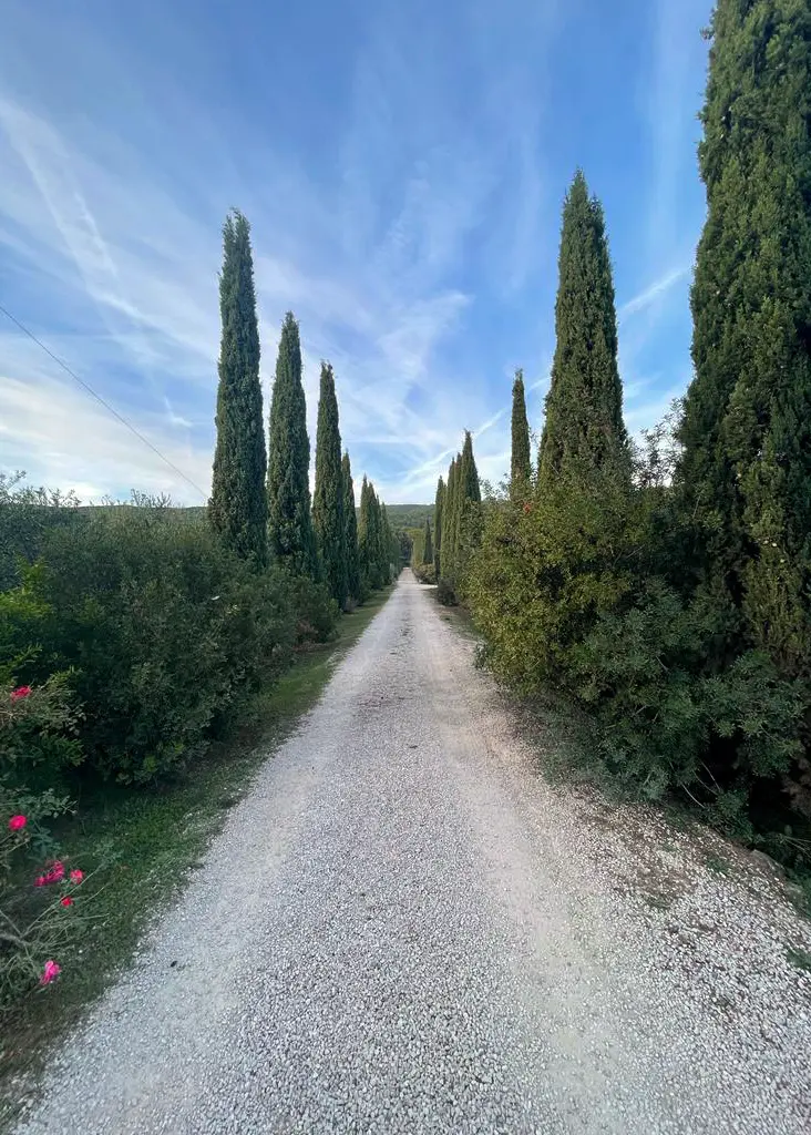 Tenuta Il Cicalino - Contesto - LuceControCorrente Tenuta Il Cicalino - Contesto - LuceControCorrente