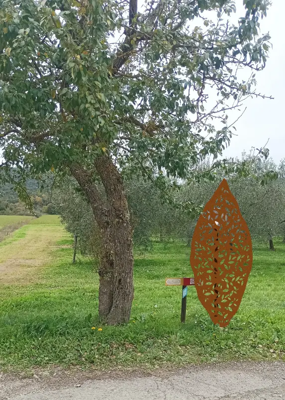 Tenuta Il Cicalino - Fasi del progetto - LuceControcorrente Tenuta Il Cicalino - Fasi del progetto - LuceControcorrente
