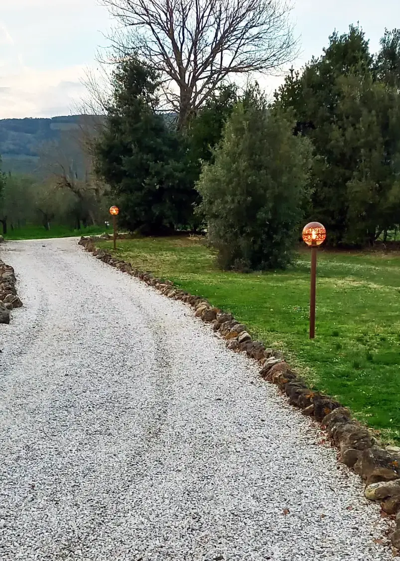 Cupolone: progetto inserito nell'ambiente Tenuta il Cicalino - Lucecontrocorrente Cupolone: progetto inserito nell'ambiente Tenuta il Cicalino - Lucecontrocorrente