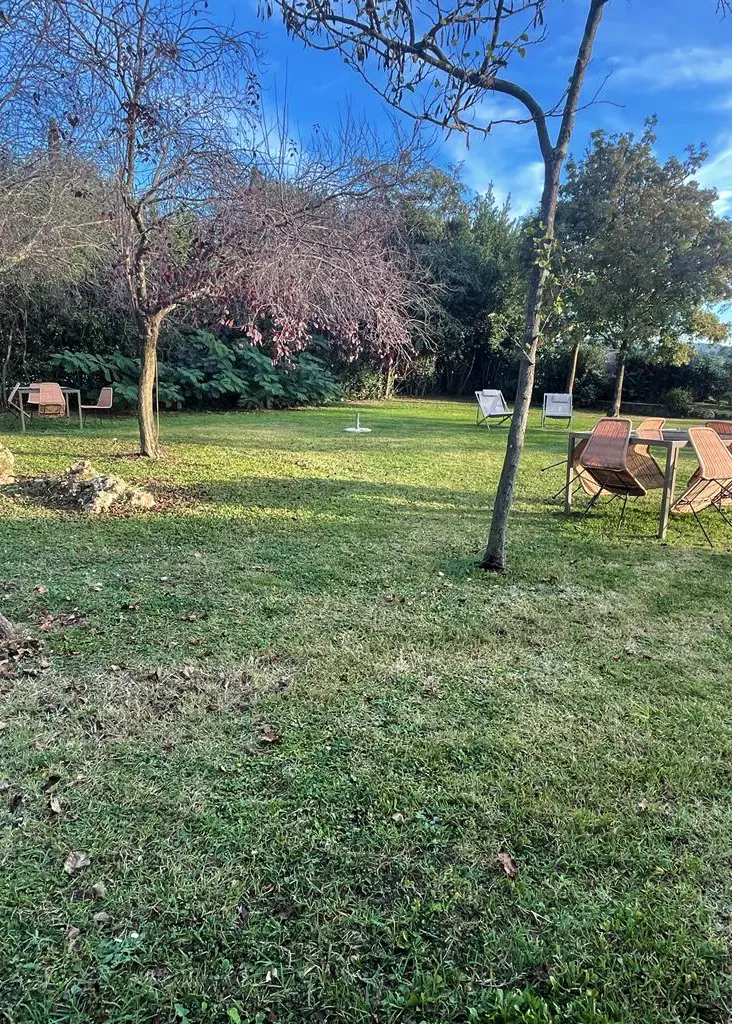 La grande foglia: luci da esterno nel parco con prato - Lucecontrocorrente La grande foglia: luci da esterno nel parco con prato - Lucecontrocorrente