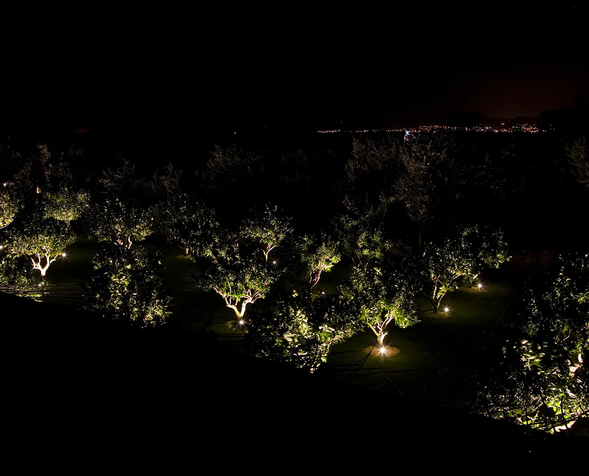 Ambiente Outdoor - Villa Privata Sardegna - Giardino - Luce Controcorrente Ambiente Outdoor - Villa Privata Sardegna - Giardino - Luce Controcorrente