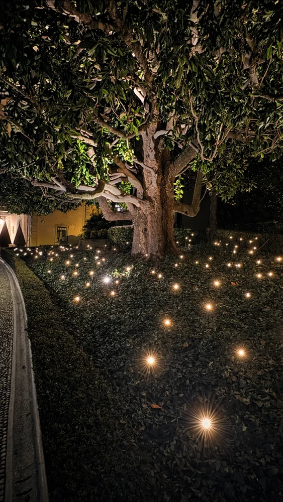 An Exclusive Christmas Experience: illuminazione esterni con aiuola - LuceControCorrente