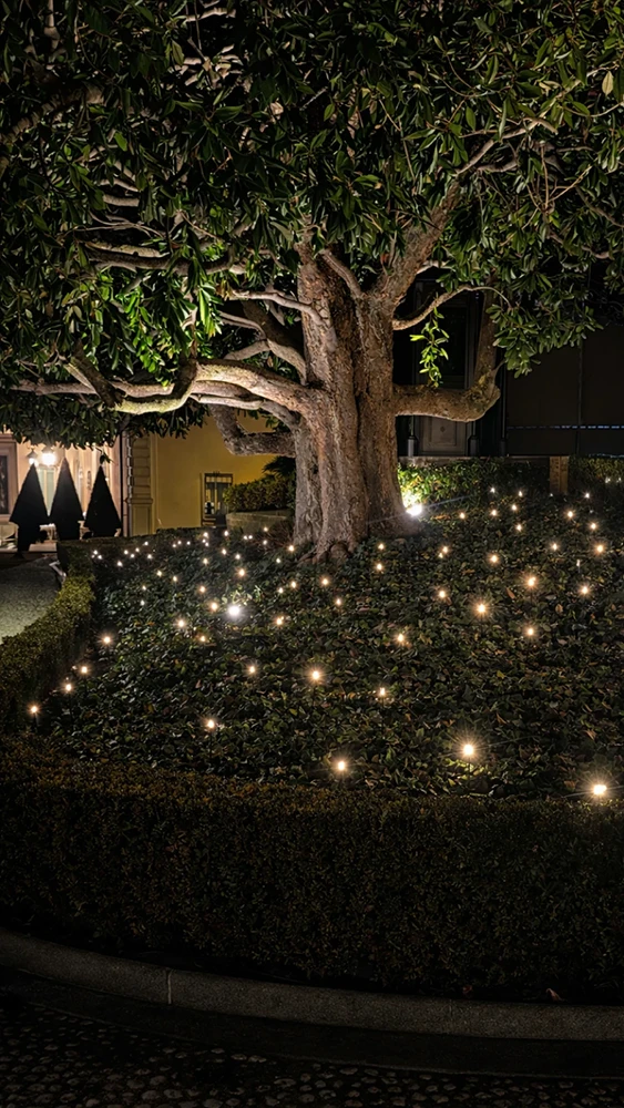 An Exclusive Christmas Experience: illuminazione esterni sentiero illuminare gli alberi - LuceControCorrente