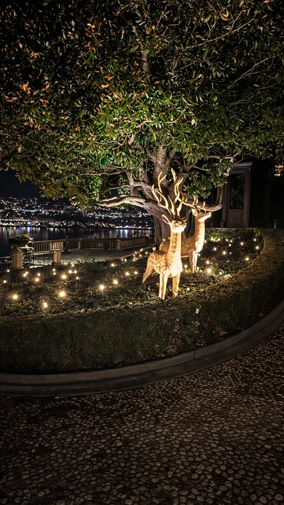 An Exclusive Christmas Experience: illuminazione esterni sentiero illuminato - LuceControCorrente